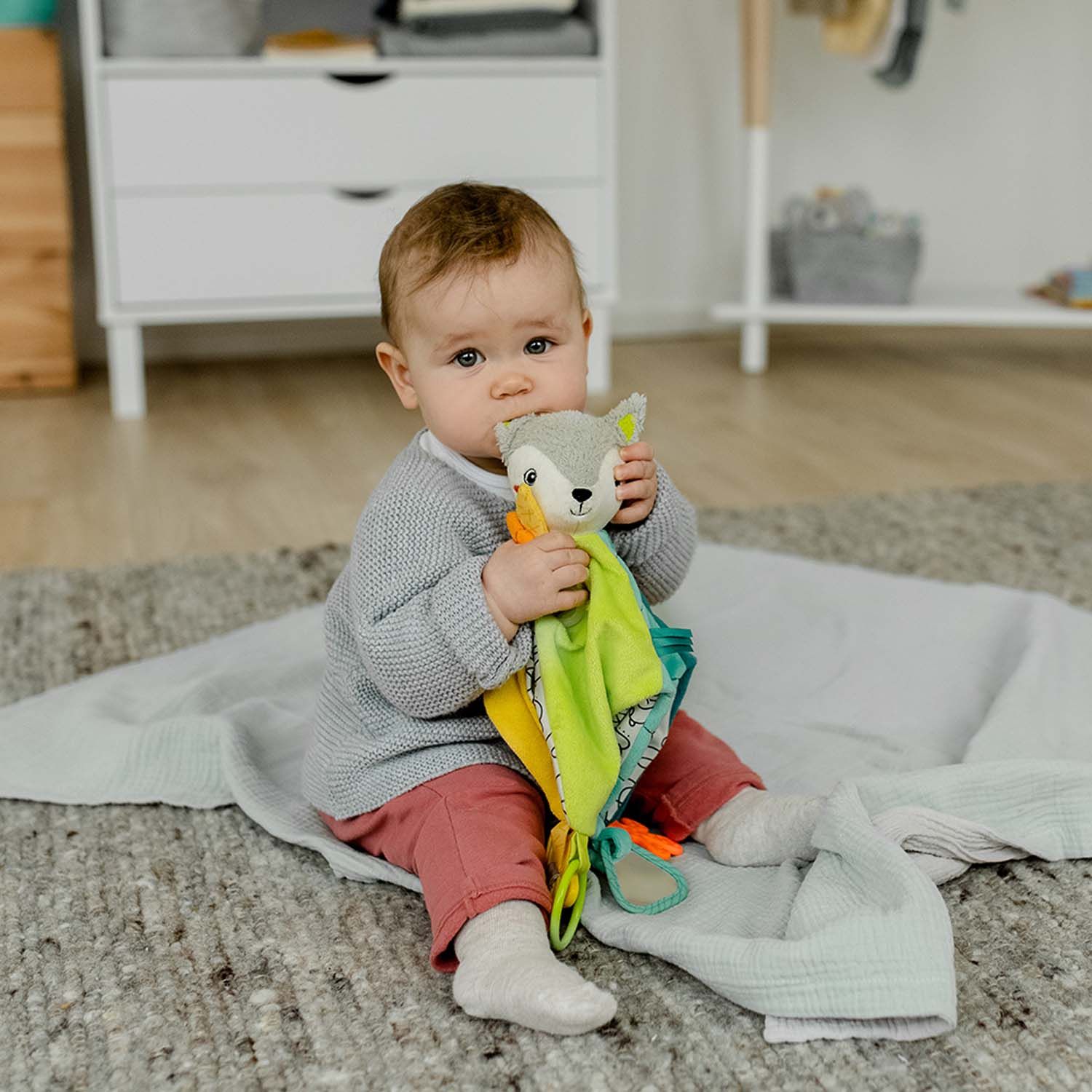 Aktivity deluxe muchláček liška DoBabyDoo