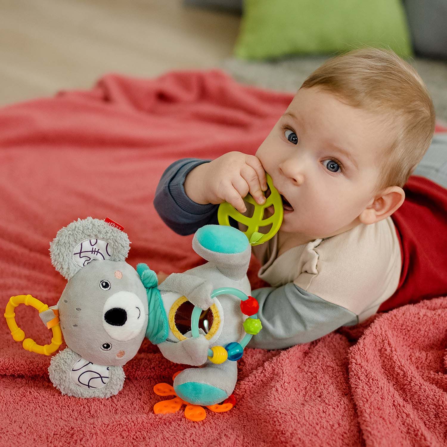 Aktivity koala DoBabyDoo