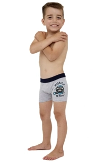 Boxerky YOUNG MISSION 2 700/138 CORNETTE