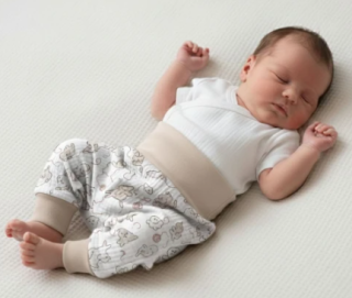 Buggy mušelín tisk kočky BABY SERVICE
